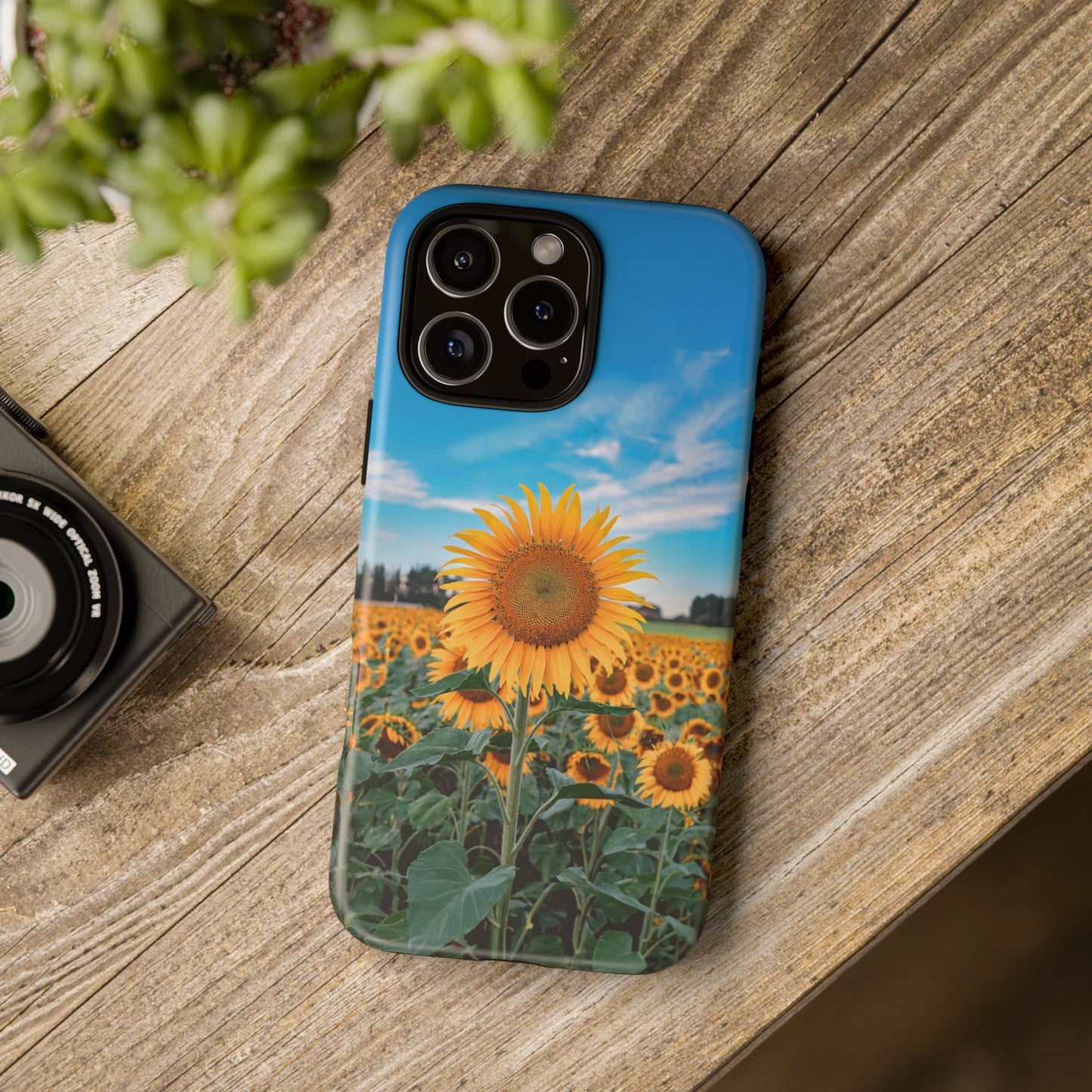 iphone case Sunflower in Full Bloom