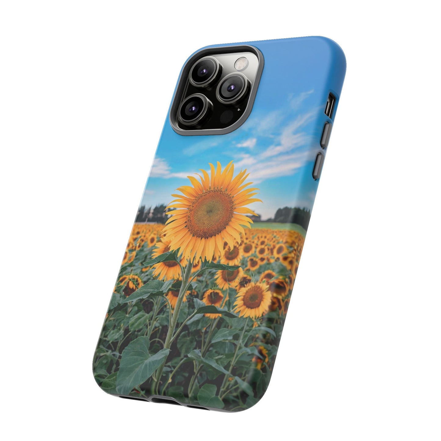 iphone case Sunflower in Full Bloom