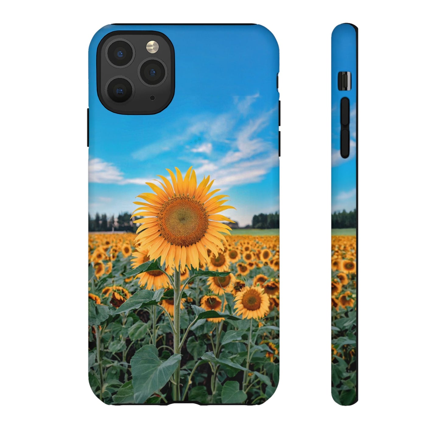 iphone case Sunflower in Full Bloom iPhone 11 Pro Max