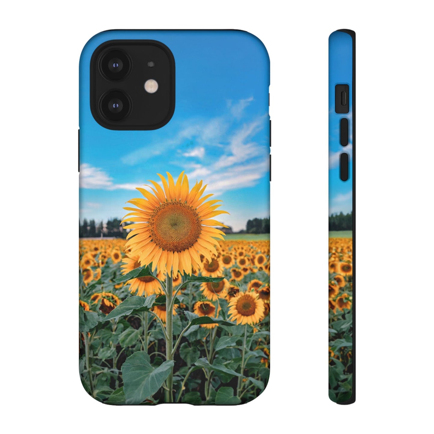 iphone case Sunflower in Full Bloom iPhone 12