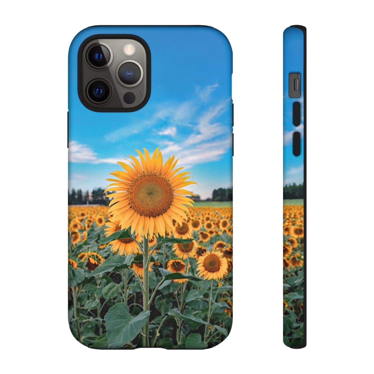 iphone case Sunflower in Full Bloom iPhone 12 Pro
