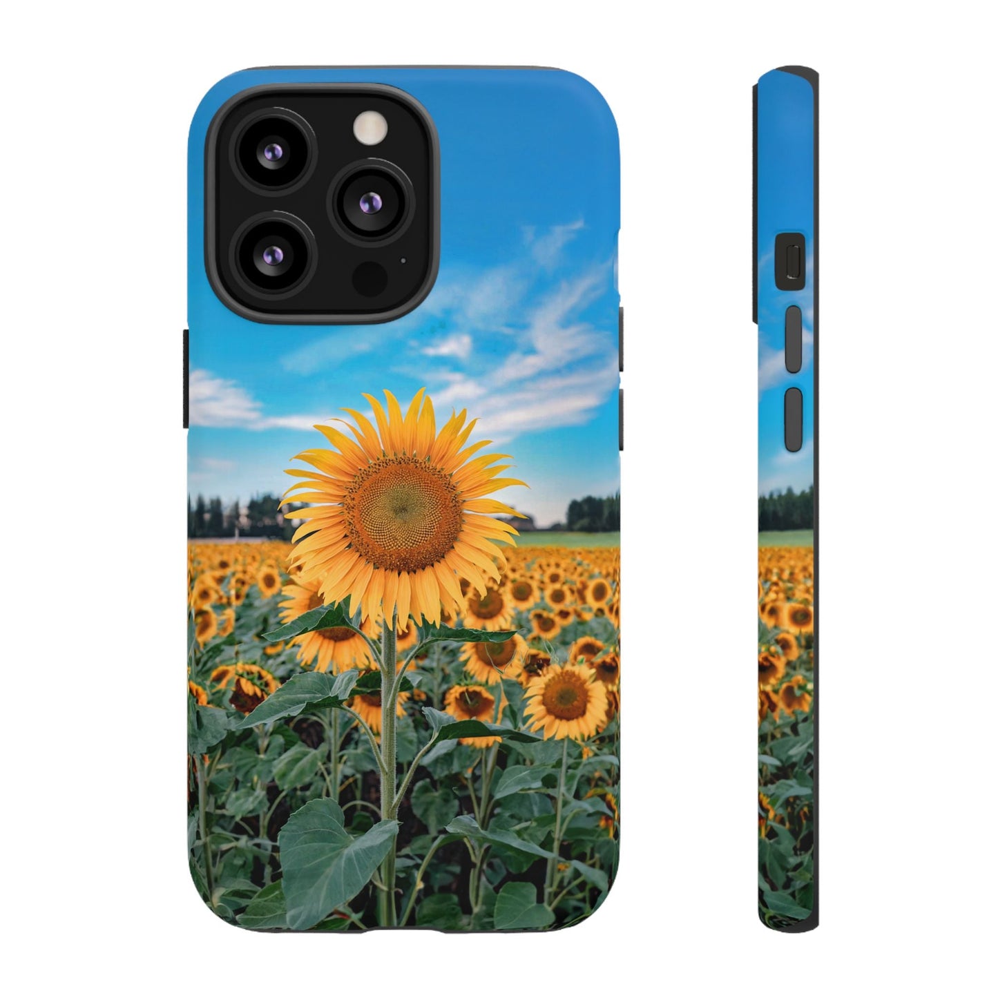 iphone case Sunflower in Full Bloom iPhone 13 Pro