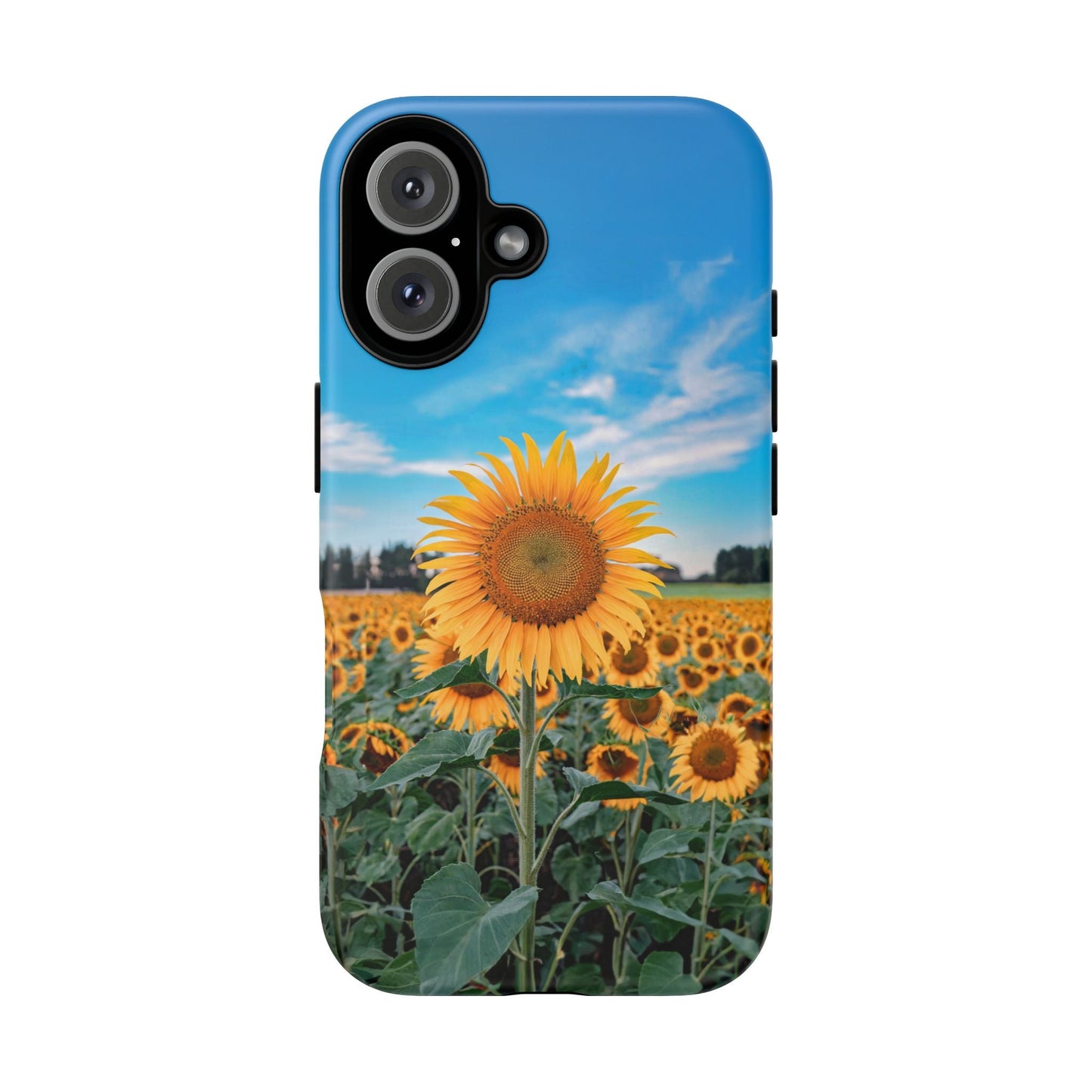 iphone case Sunflower in Full Bloom iPhone 16