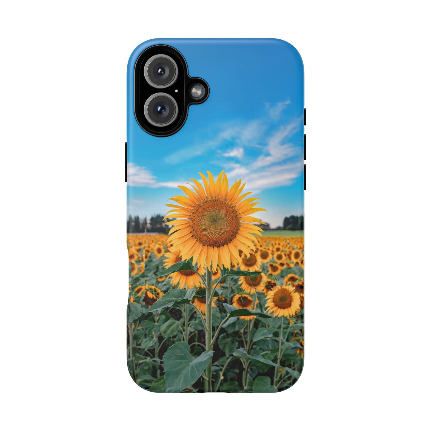 iphone case Sunflower in Full Bloom iPhone 16 Plus