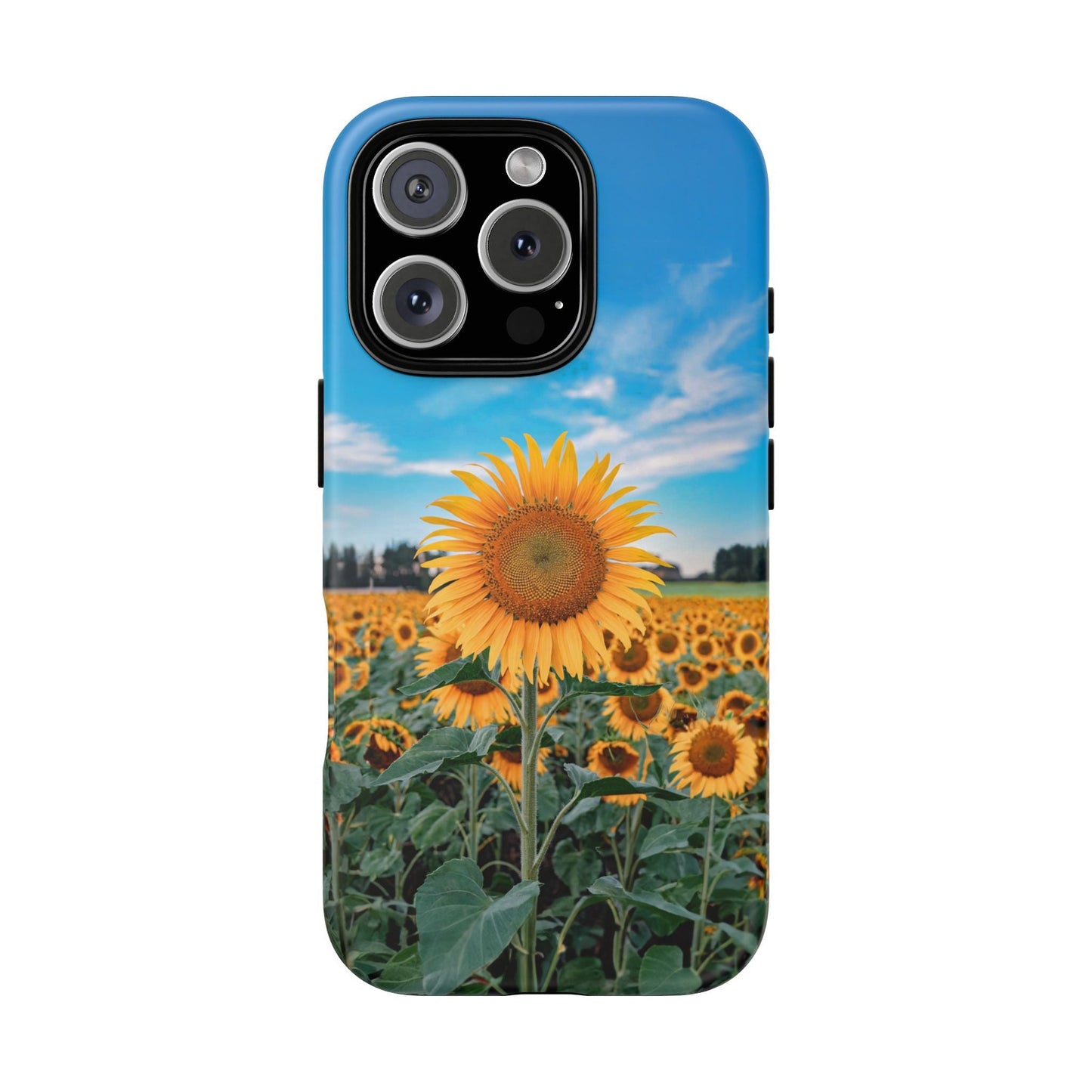 iphone case Sunflower in Full Bloom iPhone 16 Pro