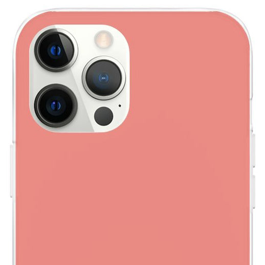 Burnt Coral iPhone Case