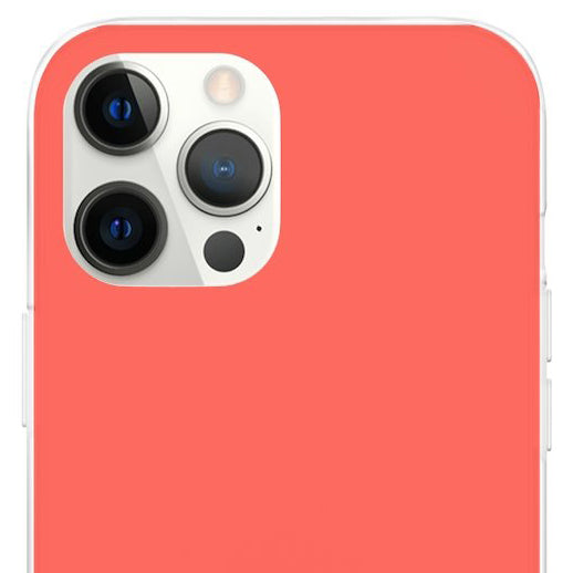 Pink Citrus iPhone Case