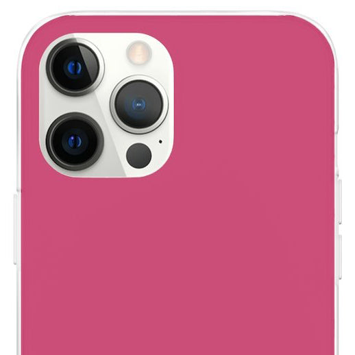 Raspberry Sorbet iPhone Case